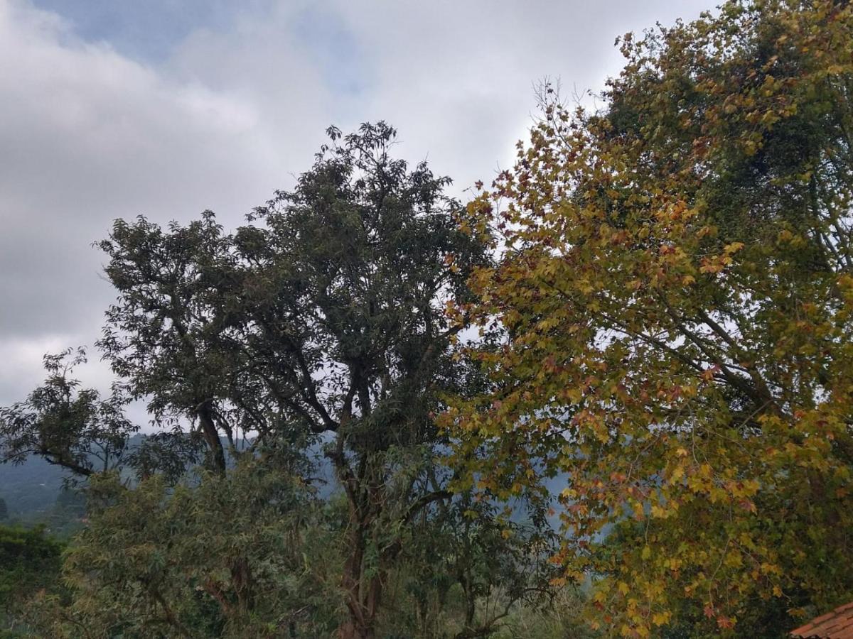 Pousada Estrela Da Serra モンテ・ヴェルデ エクステリア 写真