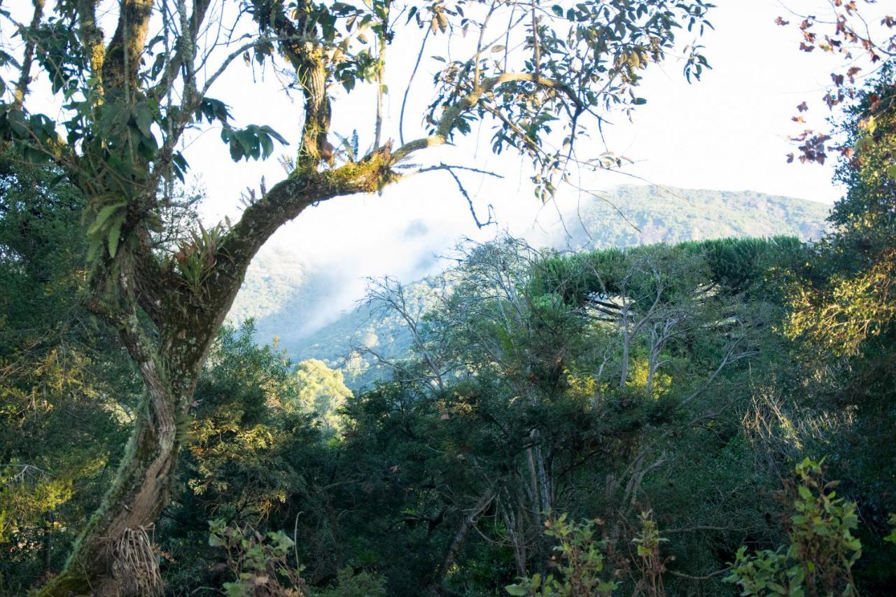 ホテル Pousada Estrela Da Serra モンテ・ヴェルデ エクステリア 写真